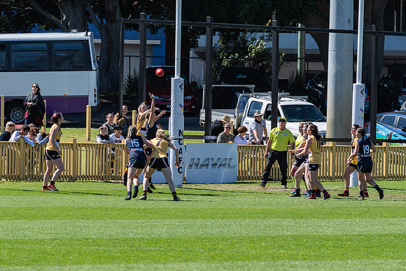 AFLHCC Womens Grand Final - Newcastle City v Maitland