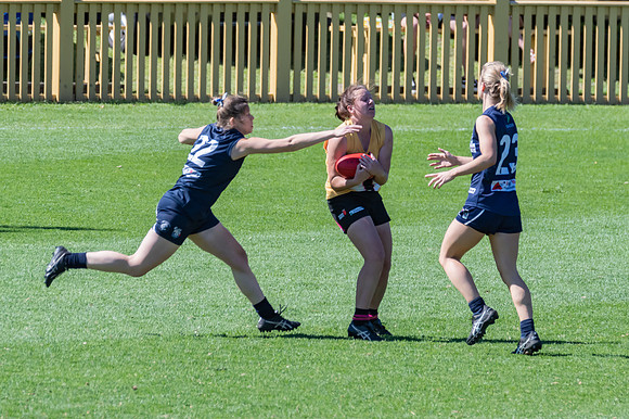 AFLHCC Womens Grand Final - Newcastle City v Maitland