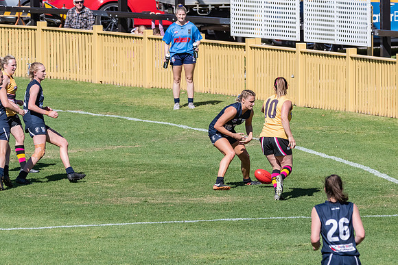 AFLHCC Womens Grand Final - Newcastle City v Maitland