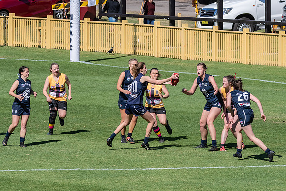 AFLHCC Womens Grand Final - Newcastle City v Maitland