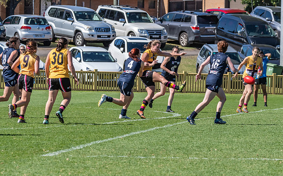 AFLHCC Womens Grand Final - Newcastle City v Maitland