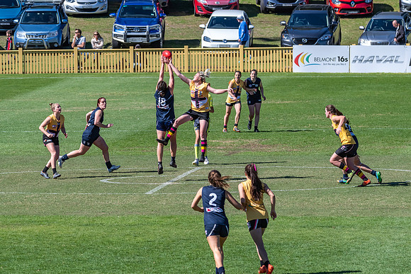 AFLHCC Womens Grand Final - Newcastle City v Maitland