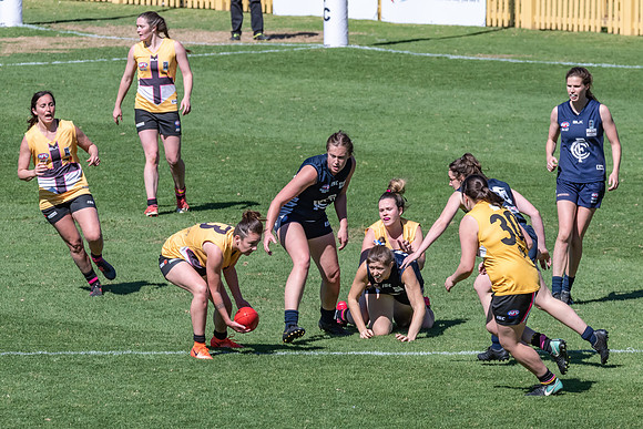 AFLHCC Womens Grand Final - Newcastle City v Maitland