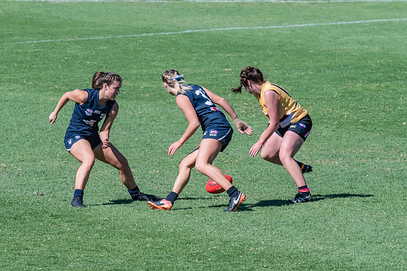 AFLHCC Womens Grand Final - Newcastle City v Maitland