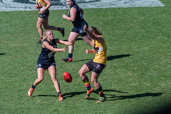 AFLHCC Womens Grand Final - Newcastle City v Maitland