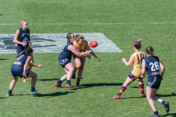 AFLHCC Womens Grand Final - Newcastle City v Maitland