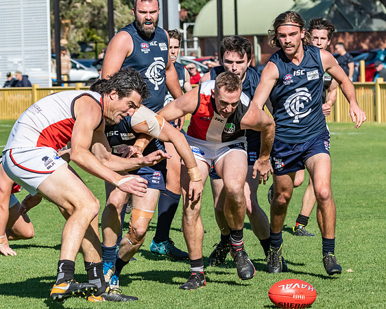 GF Cup - Terrigal Avoca v Newcastle City