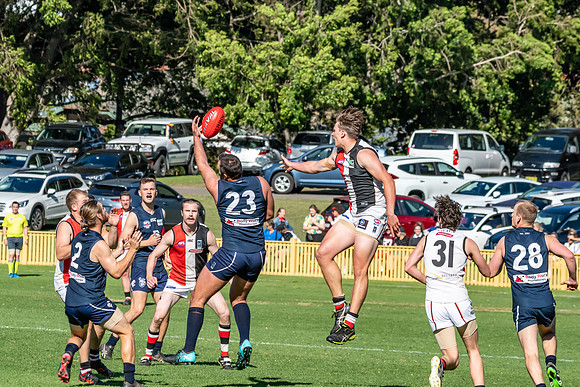 GF Cup - Terrigal Avoca v Newcastle City