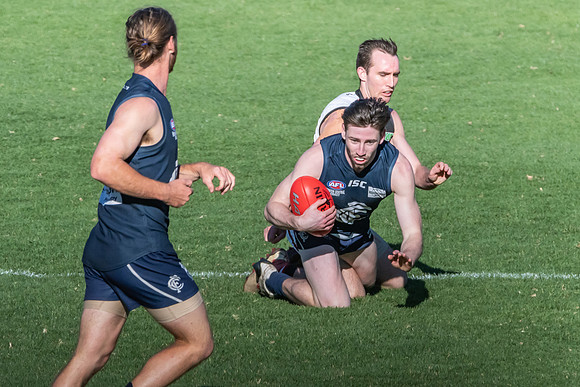 GF Cup - Terrigal Avoca v Newcastle City