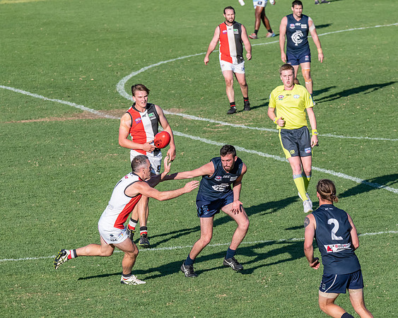 GF Cup - Terrigal Avoca v Newcastle City