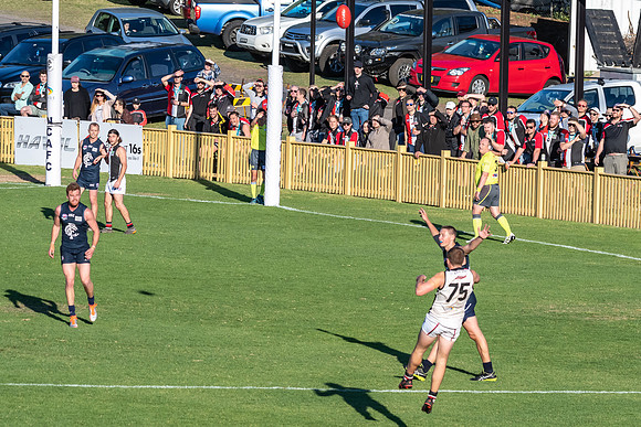 GF Cup - Terrigal Avoca v Newcastle City
