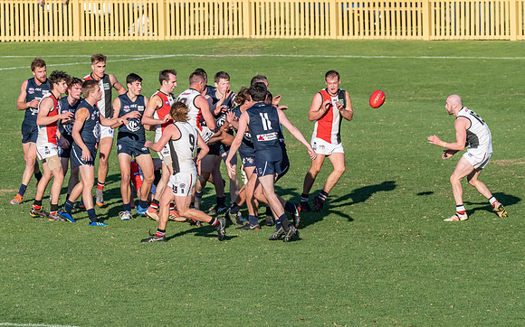 GF Cup - Terrigal Avoca v Newcastle City