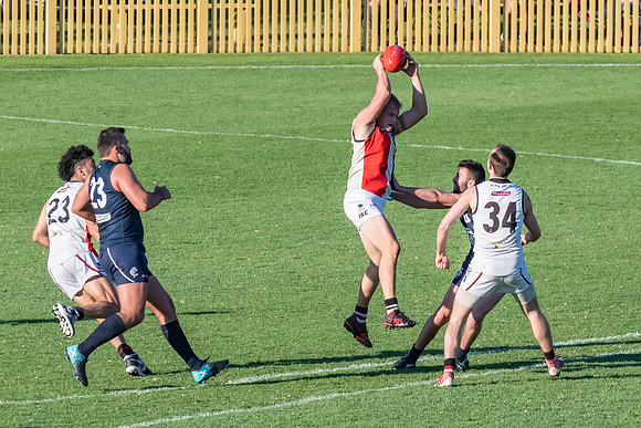 GF Cup - Terrigal Avoca v Newcastle City