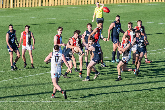 GF Cup - Terrigal Avoca v Newcastle City