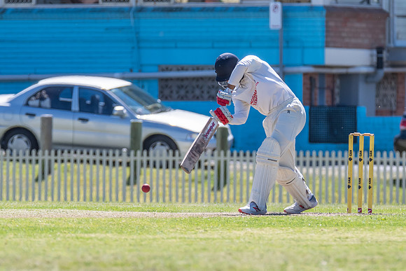 Newcastle v Mosman Trial Match