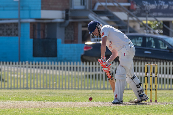 Newcastle v Mosman Trial Match