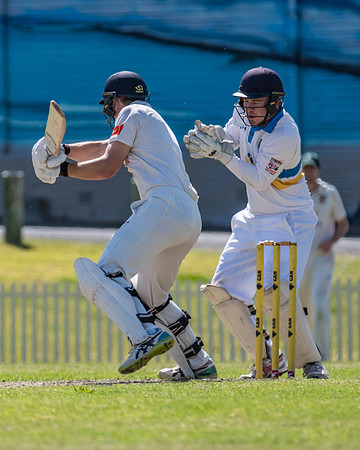Newcastle v Mosman Trial Match