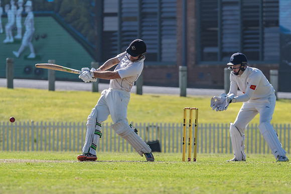 Newcastle v Mosman Trial Match