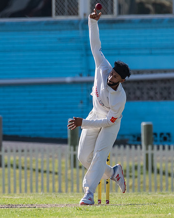 Newcastle v Mosman Trial Match
