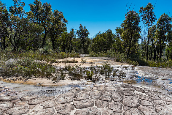 Tessellated Pavement in the Australian Great Outdoors
