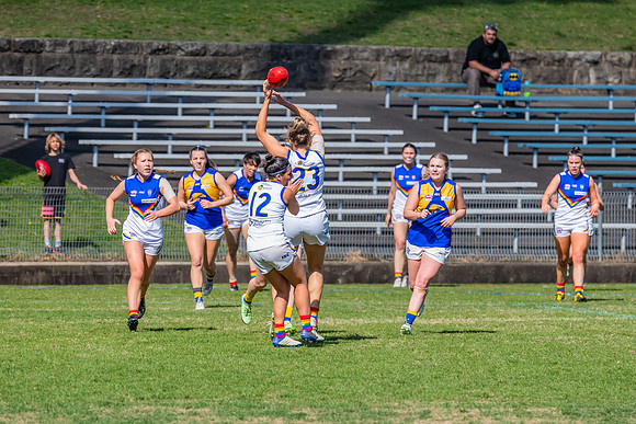 WPD Preliminary Final - East Coast v Sydney University - 21 Augu