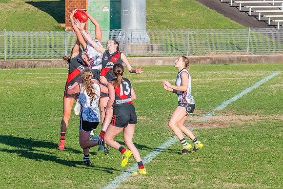 WPD Elimination Final - North Shore v Inner West - 7 August 2022