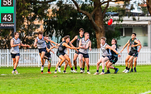Rd 8 MPD - UTS v SWS - 31 May 2025