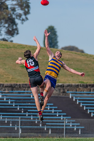 MPD Reserves Major Semi Final - Sydney University v North Shore