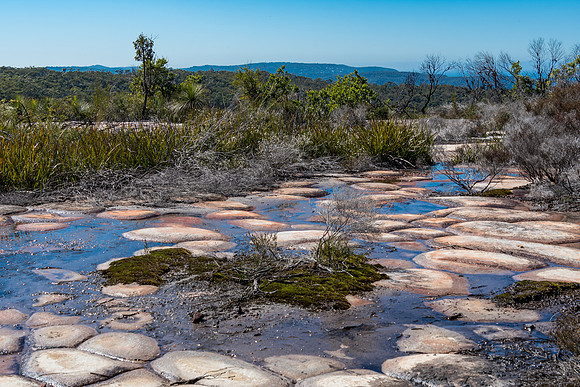 Tessellated Pavement in the Australian Great Outdoors