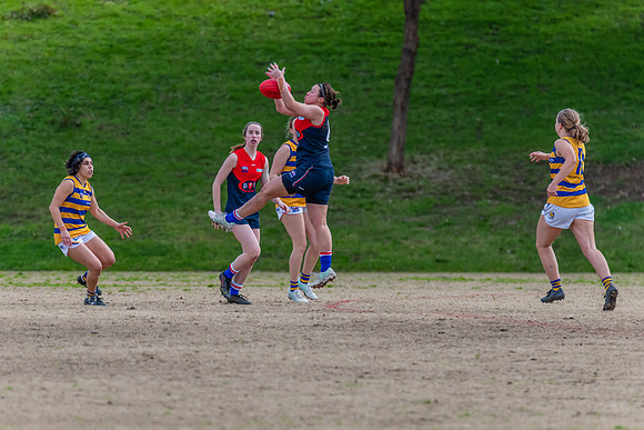 Rd 14 WPD - Pennant Hills v Sydney Uni - 16 July 2022