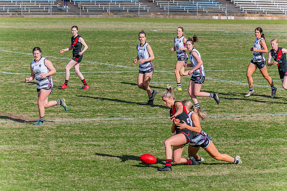 WPD Elimination Final - North Shore v Inner West - 7 August 2022