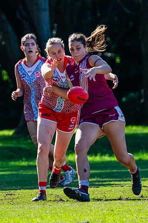Rd 6 WPD - St George v Manly Warringah - 17 May 2025