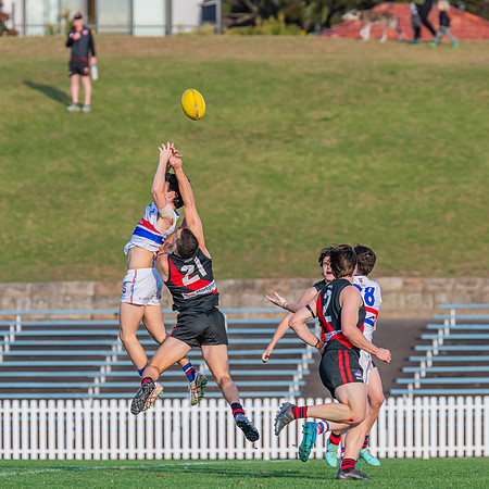 Rd 16 MPD - UNSW-ES v North Shore - 10 August 2024