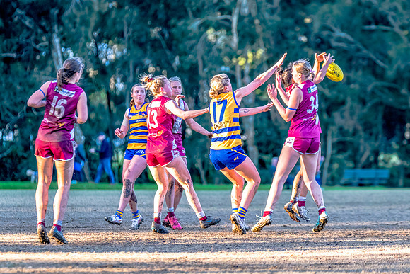 Rd 17 WPD - Manly Warringah v Sydney Uni - 16 August 2025