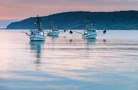 Serene Morning Waterscape with Soft Clouds over the Bay