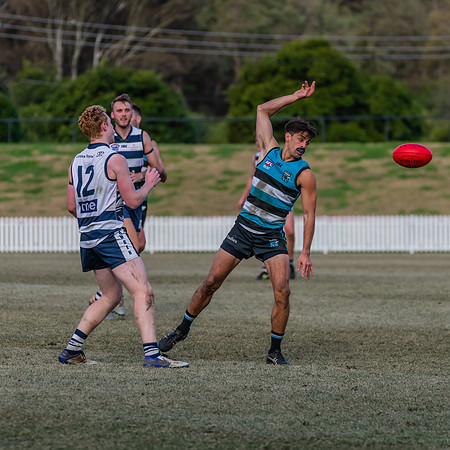 Platinum Div Preliminary Final - Southern Power v Camden Cats -