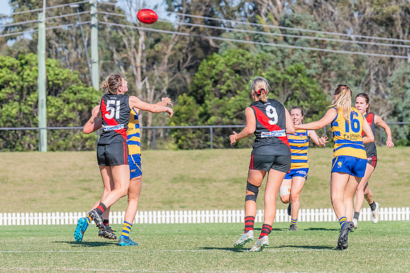 WPD Elimination Final - North Shore v Sydney Uni - 1 September 2