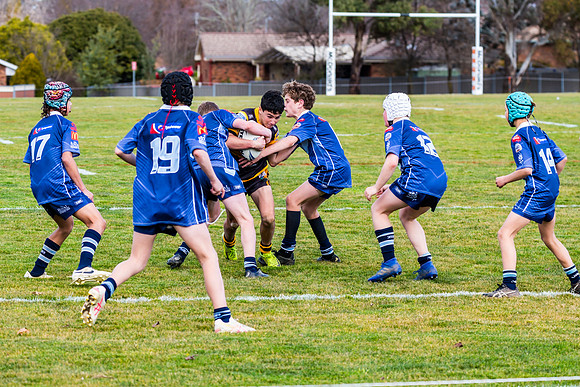 Rd 12 Bloomfield Tigers U13s v Oberon U13s - 9 August 2025