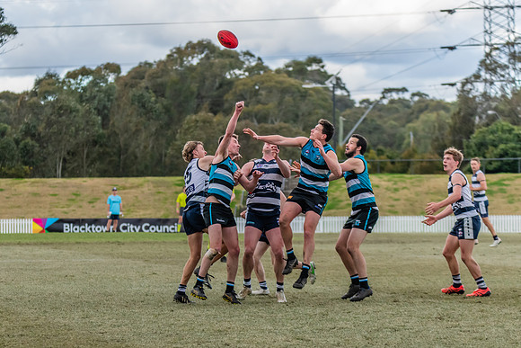 Platinum Div Preliminary Final - Southern Power v Camden Cats -