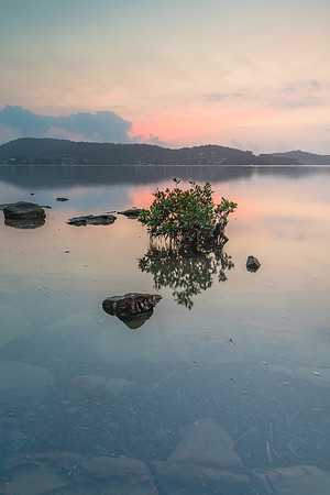 Clouds and Reflections - Bay Waterscape