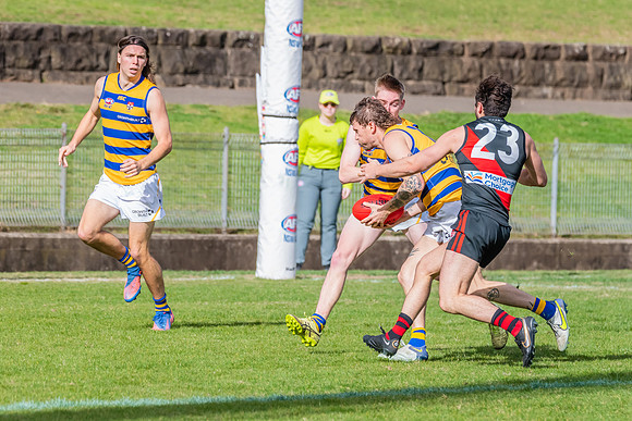 MPD Qualifying Final - North Shore v Sydney University - 20 Augu