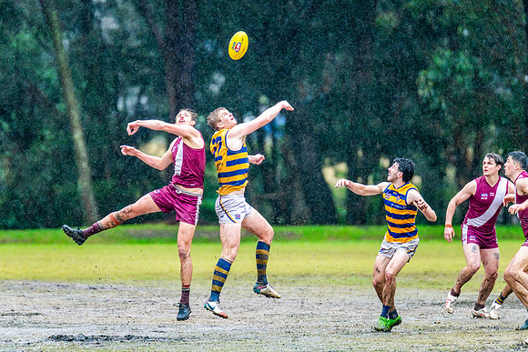 Rd 10 MPD - Manly Warringah v Sydney Uni - 22 June 2024
