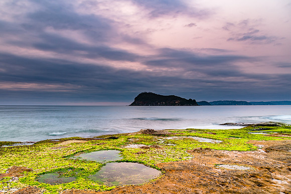 Dawn Seascape and Mossy Green Headland