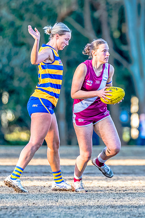 Rd 17 WPD - Manly Warringah v Sydney Uni - 16 August 2025