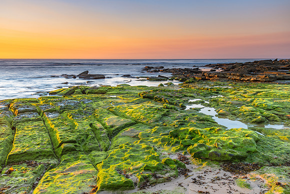 Mossy Green Sunrise Seascape