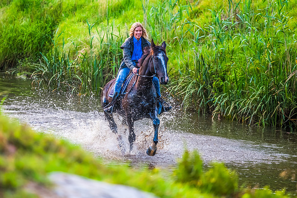 Early Morning Running Of The Horses at Glenworth Valley