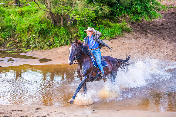 Early Morning Running Of The Horses at Glenworth Valley