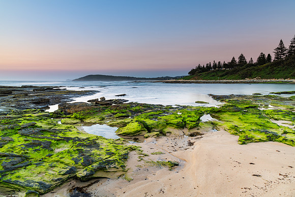 Sunrise Seascape with Green Moss