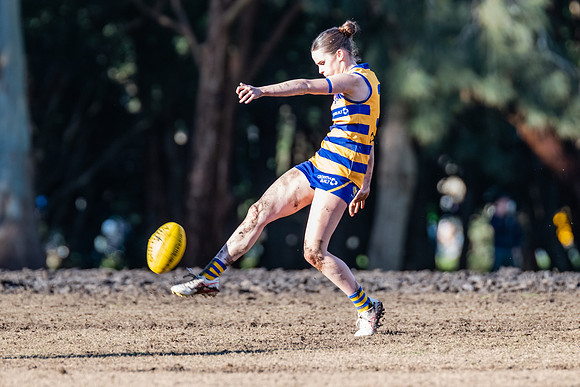 Rd 17 WPD - Manly Warringah v Sydney Uni - 16 August 2025