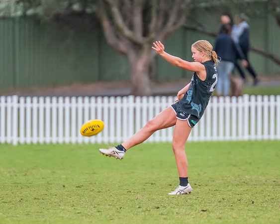 Rd 7 WPD - St George v UTS - 25 May 2024